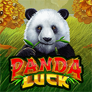 Chú Gấu May Mắn game icon